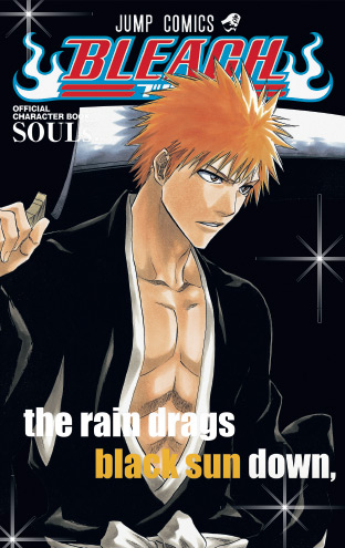 "Bleach Souls" pour bientôt bleach souls "Bleach Souls" pour bientôt